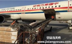 上海到威海空運(yùn)_海鮮物流